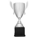 Silver Cup with Black Base