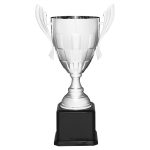 Silver Cup with Black Base